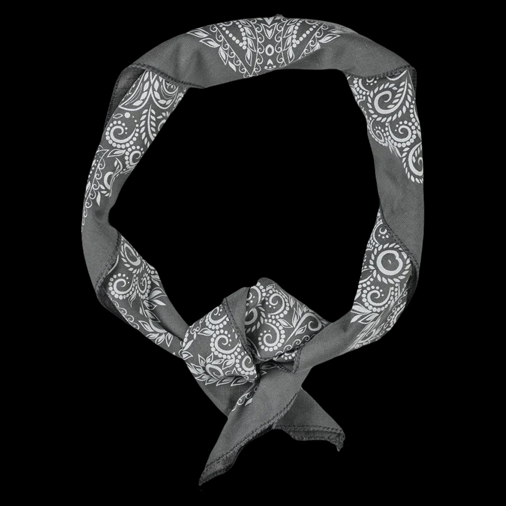 PDW Paisley Mythosaur Bandana