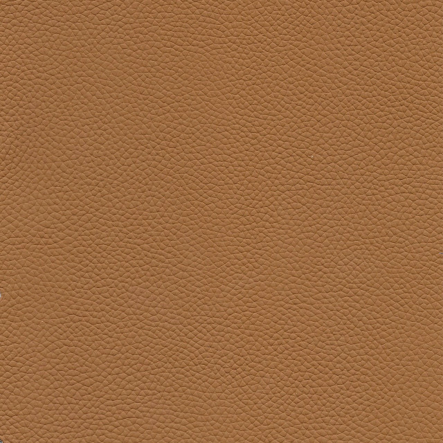 Tan Italian Leather