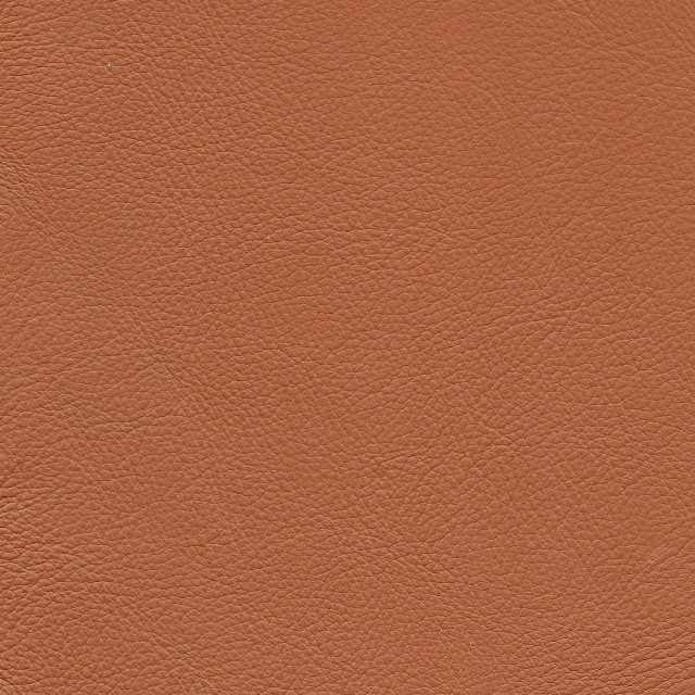 Tan Aniline Leather 2