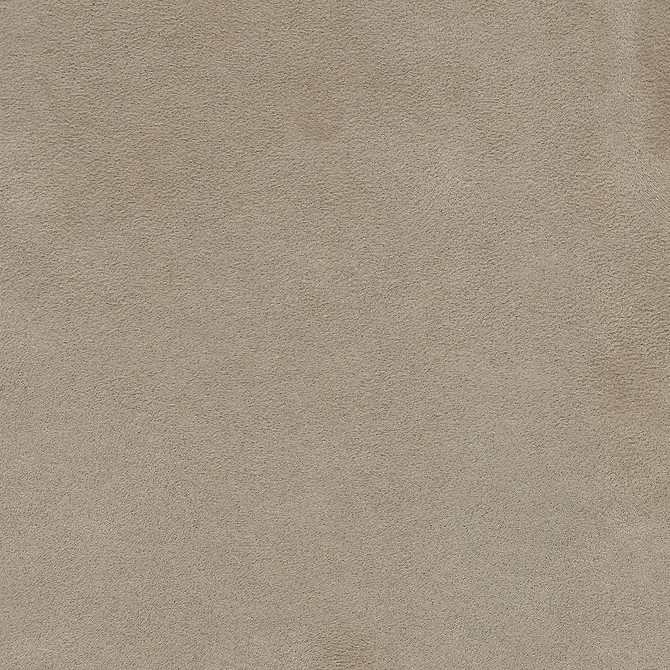 Alcantara Suede Taupe
