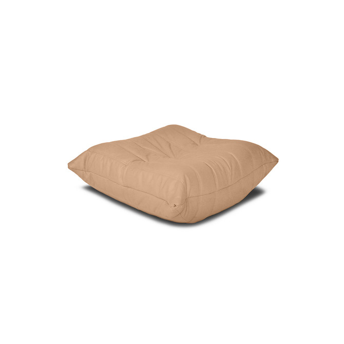 leather-wheatgrass