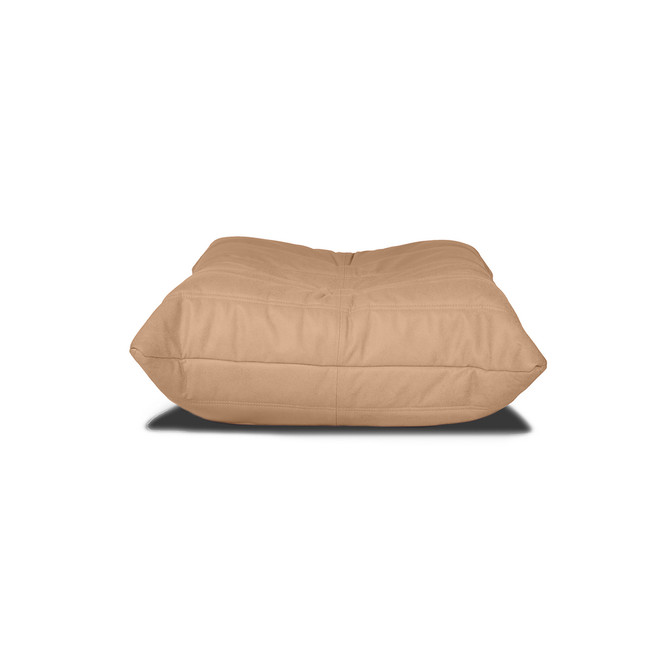 leather-wheatgrass