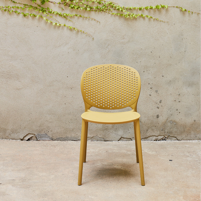 polypropylene-ginger