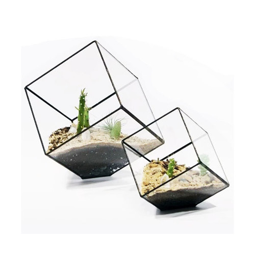 Cube Succulent Terrarium