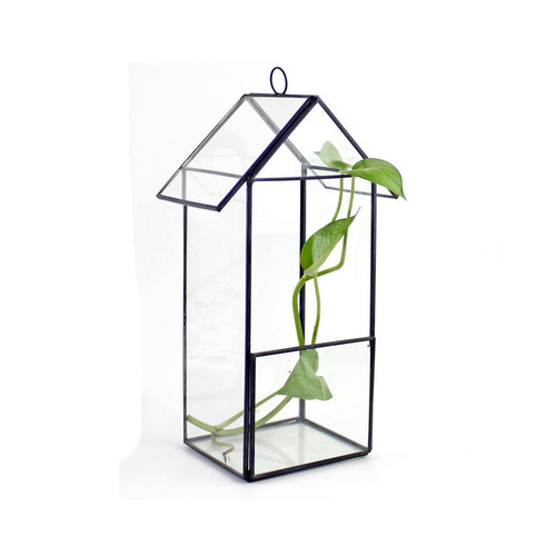 Glass house terrarium