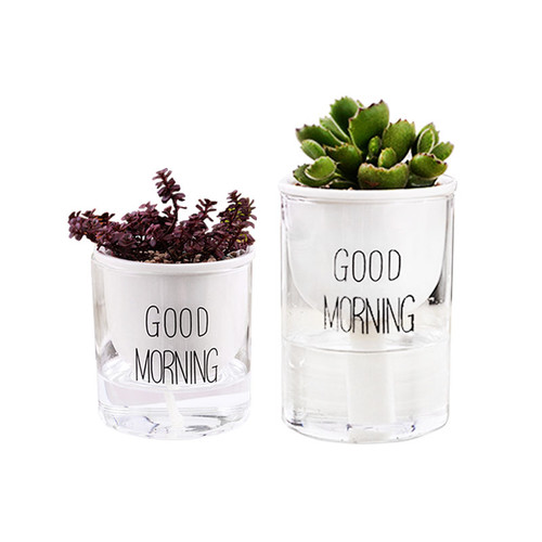 Good Morning Lazy Flower Pot