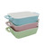 colored lasagna pan rectangle