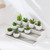 Riser Stand Shelf for mini tabletop garden