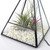 Micro Landscape Greenhouse
