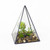 Pyramid Glass Planter