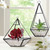 Modern pyramid shape glass terraria