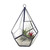 Modern polyhedron container for holding air plants