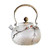 Hammer Pattern Glass Teapot