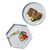 Granite Dinner Plates