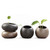 River Rock Planter