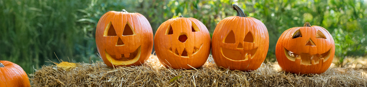 Shop Pumpkins Shop Pumpkins