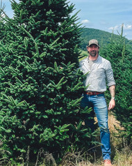 How To Select A Christmas Tree
