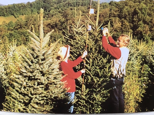 PapaNoel Family Animated