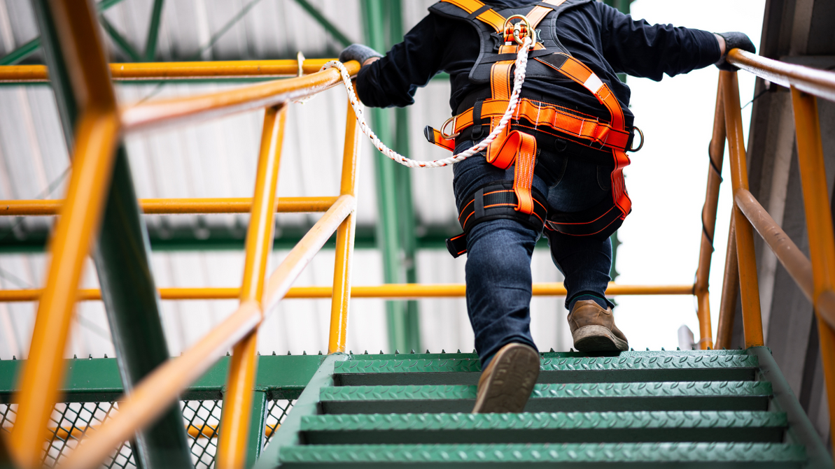 The Basics of Fall Protection: What Every Worker Should Know