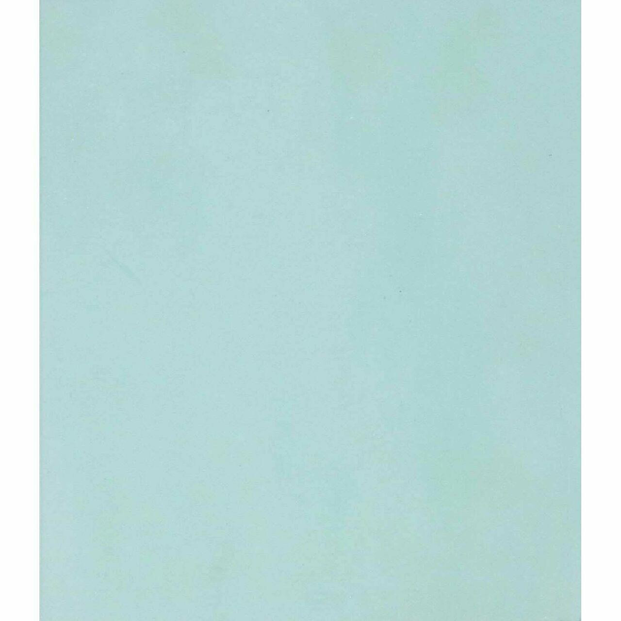 Safety Plus Plastic Welding Cover Plate - 4-1/2 in. x 5-1/4 in