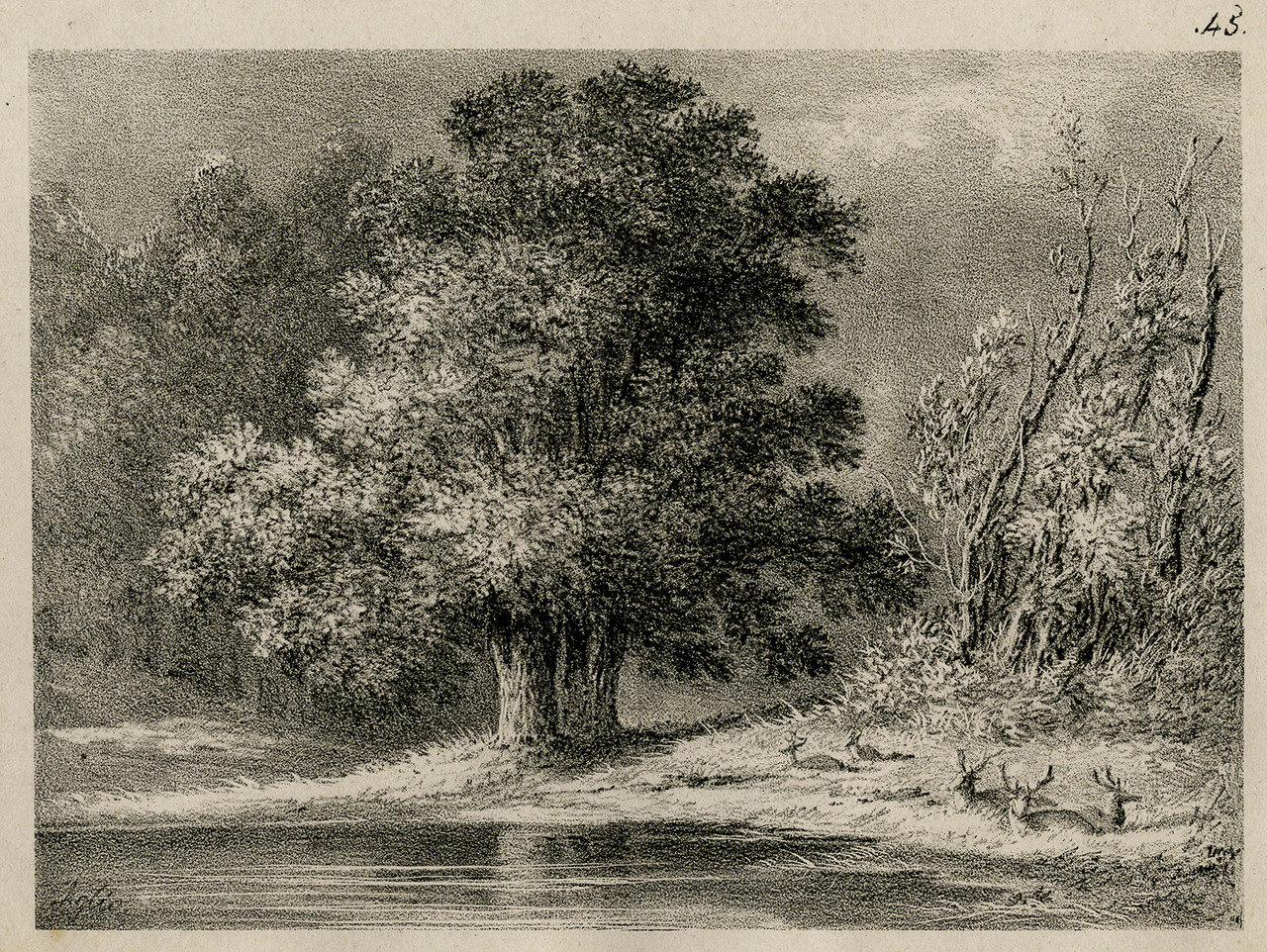 Antique Master Print-LANDSCAPE-EARLY LITHOGRAPHY-WOOD-TREE-DEER