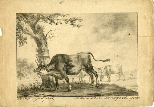 Antique Master Print-LANDSCAPE-BULL-TREE-CATTLE-Van der Poorten-Ommeganck-1827 - Main Image