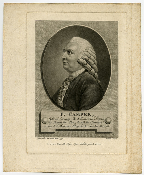Antique Master Print-PORTRAIT-PETRUS CAMPER-PHYSICIAN-Vinsac-Pujos-1777 - Main Image