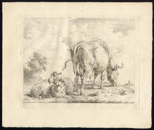 Antique Master Print-GRAZING COW-SHEEP-REST-Van Os-ca. 1800 - Main Image