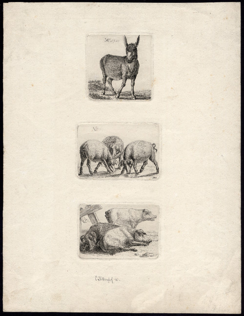 3 Antique Master Prints-ANIMAL-DONKEY-PIG-Von Vittinghoff-1807 - Main Image
