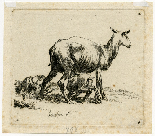 Antique Master Print-THREE SHEEP-LAMB-Berchem-ca. 1660 - Main Image
