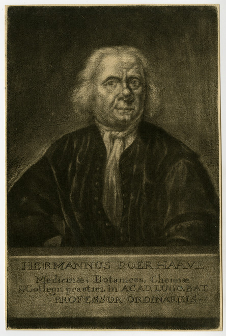 Rare Antique Master Print-HERMANUS BOERHAAVE-PHYSICIAN-BOTANIST-Groot-ca. 1720 - Main Image
