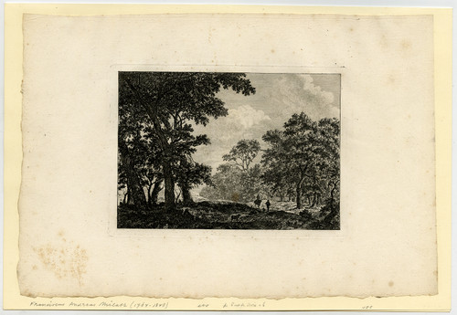 Antique Master Print-LANDSCAPE-TREE-Milatz-ca. 1770 - Main Image