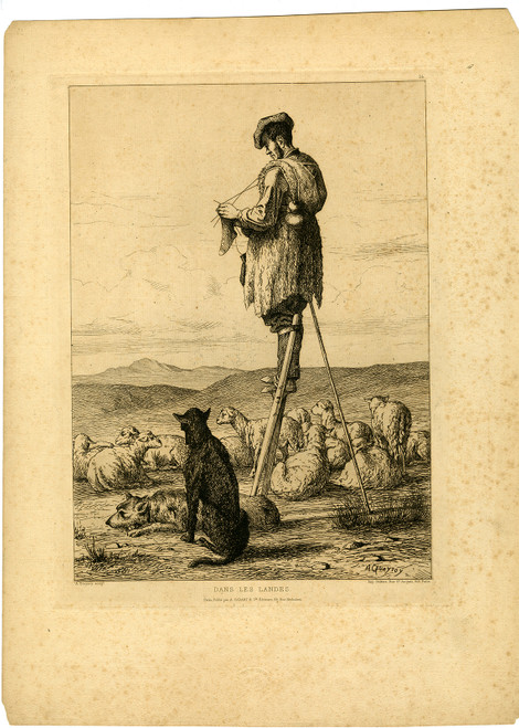 Antique Master Print-SHEPHERD-KNITTING-LES LANDES-JERSEY-Queyroy-1863 - Main Image