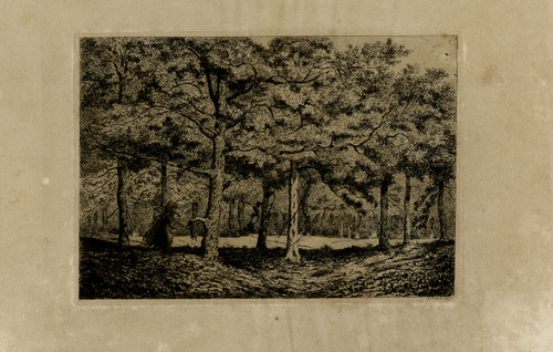Antique Master Print-LANDSCAPE-ZEIST-FOREST-WOOD-ZEISTERBOS-Hora Siccama-1875 - Main Image