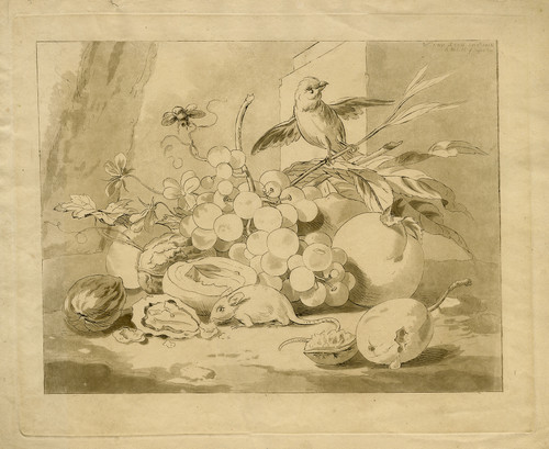 Very rare Antique Master Print-STILL LIFE WITH FRUIT AND MOUSE-Leen-Kobell-1812 - Main Image
