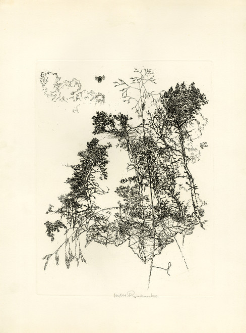 Original Master Print-View of a landscape-Rademaker-ca. 1960 - Main Image
