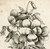 Antique Master Print-NATURAL HISTORY-FLOWER-VIOLET-Redoute-Engelmann-1822 - Image 3