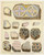 Antique Master Print-MOSAIC-ARABIAN-NOUM MEDINET EL FARES-EGYPT-Rifaud-1836 - Main Image