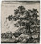 Antique Master Print-Landscape with trees near a stream-Naywinx-ca. 1640 - Main Image