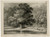 Antique Master Print-LANDSCAPE-EARLY LITHOGRAPHY-WOOD-TREE-DEER-Aglio-1831 - Image 2