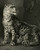 Antique Master Print-Depiction of a leopard with cubs-Volmar-Berre-1825 - Picture 6 Antique Master Print-Depiction of a leopard with cubs-Volmar-Berre-1825 - Picture 6