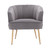 COOLMORE Accent Chair ; leisure single chair with Golden feet