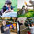 200Pcs Compatible Darts Refill Pack Darts for Nerf N-Strike Elite Series Blasters Toy Gun