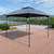 10x10 Ft Outdoor Patio Garden Gazebo Canopy; Outdoor Shading; Gazebo Tent With Curtains