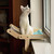 Mewoofun 5 Color Cat Pet Window Wooden Component Bed Hanging Cotton Canvas