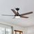 48 in. Integrated LED Indoor Brown Ceiling Fan with Light Kit and Remote Control