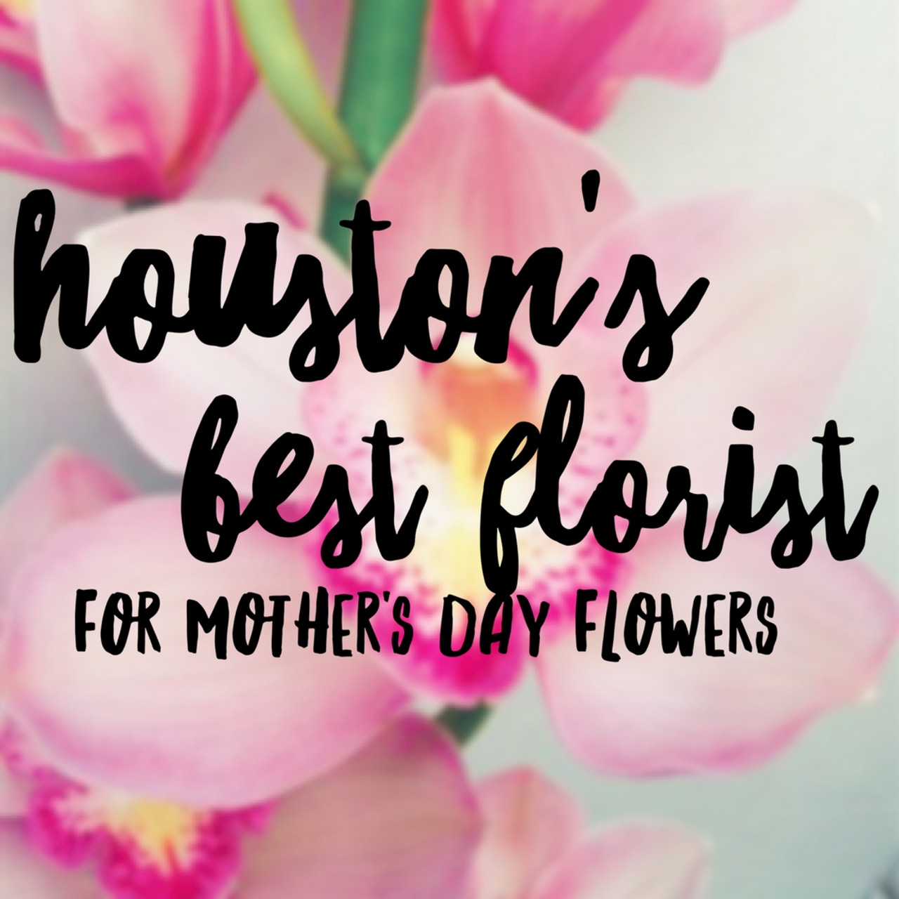 Mother’s Day Flower Meanings from Your Best Houston Florist Enchanted