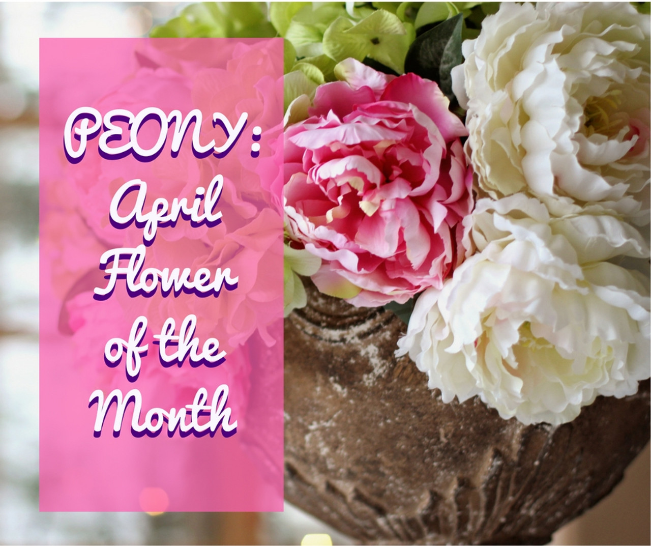 Peonies April Flower of the Month Enchanted Florist Pasadena