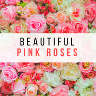 Fly Me Away: Our Many Beautiful Pink Roses