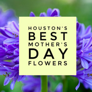 Mother's Day Flowers From The Best Florists In Houston